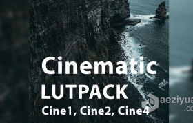 来自 Andrey Soladkov 的高端电影影视调色分级LUT预设包 Cinematic Luts Pack