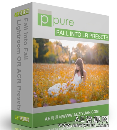 大师级pure经典秋天Lightroom预设 Fall into LR Presets可以采用IP方法调用,一台机器挂掉,CURLOPT_URL,CURLOPT_HEADER,CURLOPT_POST - AE资源网 www.aeziyuan.com