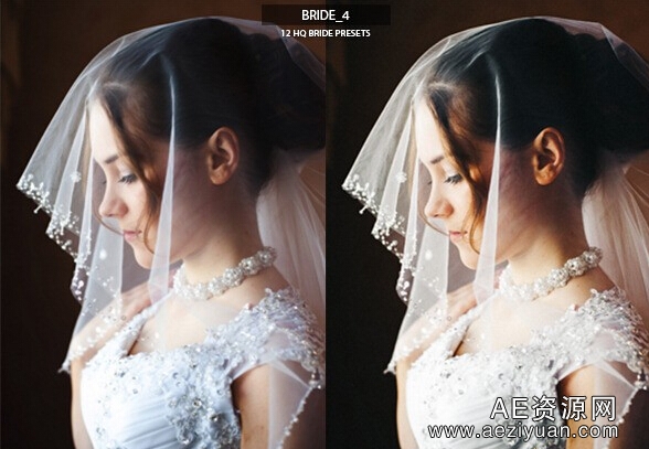 欧美新娘婚礼Lightroom预设 12 HQ Bride Presets欧美,新娘,婚礼,lightroom,预设 - AE资源网 www.aeziyuan.com