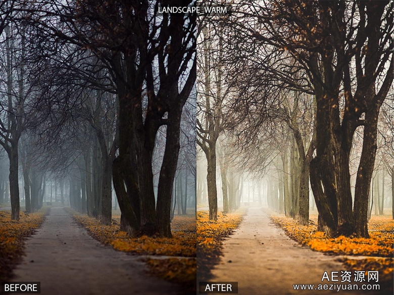 15个专业的风景景观 Lightroom预设15 Pro Landscape Presets景观,lightroom,预设,landscape - AE资源网 www.aeziyuan.com