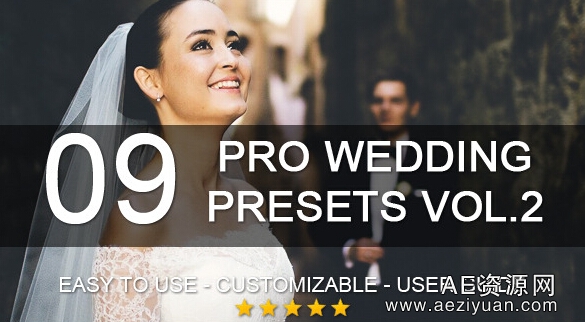 9个专业的婚礼Lightroom预设9 Pro Wedding Presets vol.2婚礼,lightroom,预设,wedding - AE资源网 www.aeziyuan.com