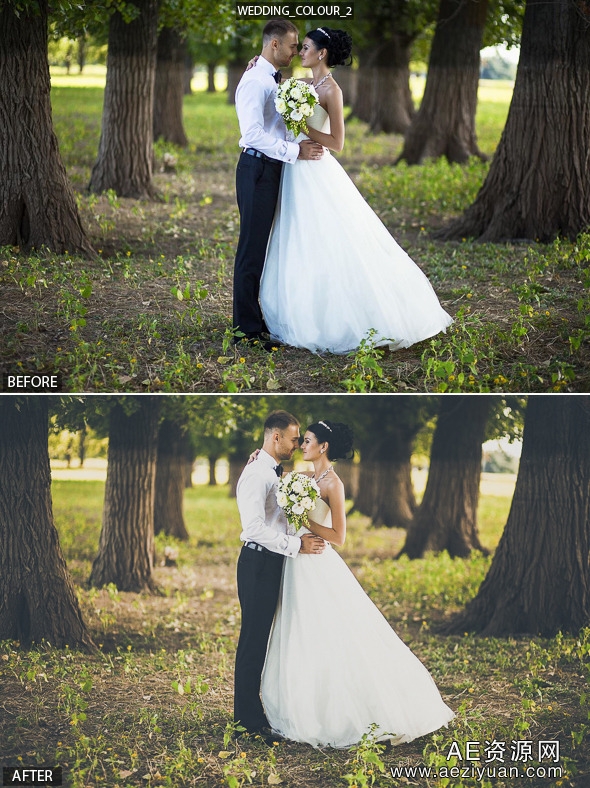 9个专业的婚礼Lightroom预设9 Pro Wedding Presets vol.2婚礼,lightroom,预设,wedding - AE资源网 www.aeziyuan.com