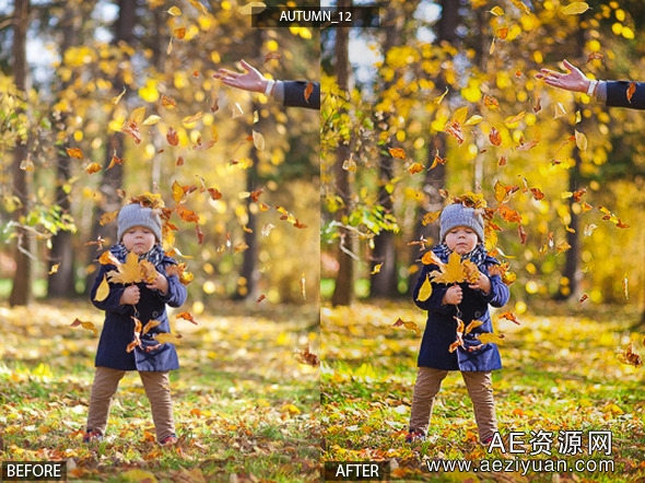 LightRoom预设-17款秋天的LR预设 17 HQ Autumn Presetslightroom,预设,秋天 - AE资源网 www.aeziyuan.com