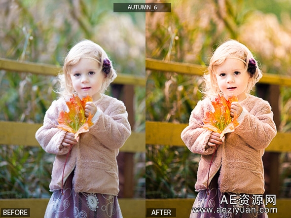 LightRoom预设-17款秋天的LR预设 17 HQ Autumn Presetslightroom,预设,秋天 - AE资源网 www.aeziyuan.com