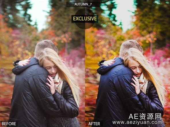 LightRoom预设-17款秋天的LR预设 17 HQ Autumn Presetslightroom,预设,秋天 - AE资源网 www.aeziyuan.com