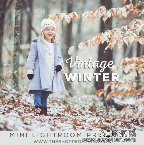 怀旧冬天Lightroom预设迷你集 Vintage Winter Lightroom Presets Mini Set怀旧,冬天,lightroom,预设,迷你 - AE资源网 www.aeziyuan.com