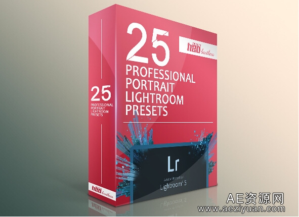 25个专业肖像Lightroom预设25 Professional Portrait Lightroom Presets专业,肖像,lightroom,预设,professional - AE资源网 www.aeziyuan.com