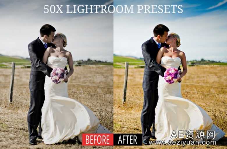 新品婚纱调色LR预设50组 Lightroom Presets新品,婚纱,调色,预设,lightroom - AE资源网 www.aeziyuan.com