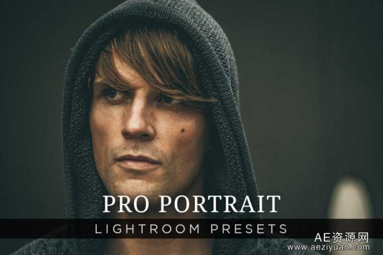 10专业人像Lightroom的预设第1卷PRO PORTRAIT LIGHTROOM PRESETS VOLUME 1专业,人像,lightroom,预设,portrait - AE资源网 www.aeziyuan.com