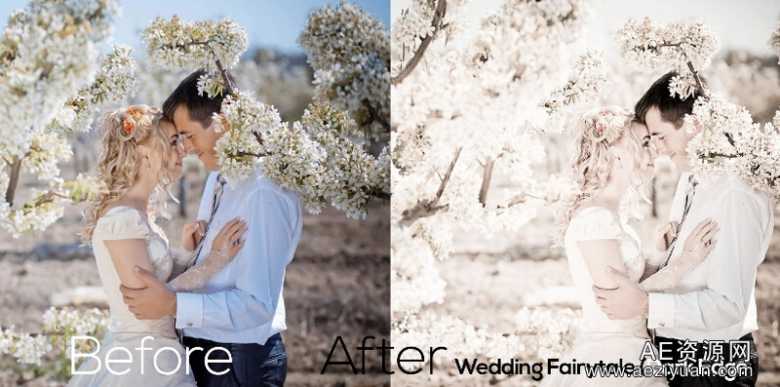 40婚礼的Lightroom预设下载 Wedding Presets For Lightroom婚礼,lightroom,预设,下载,wedding - AE资源网 www.aeziyuan.com