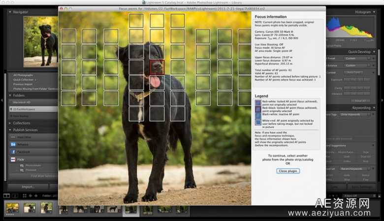 免费Lightroom插件显示照片焦点位置Show Focus Points免费,lightroom,插件,显示,照片 - AE资源网 www.aeziyuan.com