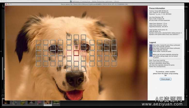 免费Lightroom插件显示照片焦点位置Show Focus Points免费,lightroom,插件,显示,照片 - AE资源网 www.aeziyuan.com