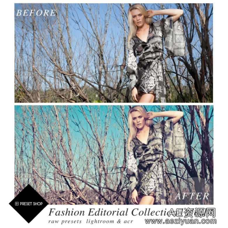 时尚编辑Lightroom预设集合 Fashion Editorial Presets Collection Lr+Acrlightroom,预设,集合,fashion,editorial - AE资源网 www.aeziyuan.com