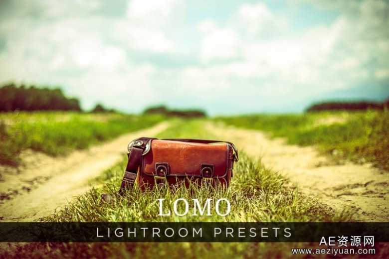 欧美LOMOLightroom预设 LOMO LIGHTROOM PRESETS VOLUME 1欧美,预设,lomo,lightroom - AE资源网 www.aeziyuan.com