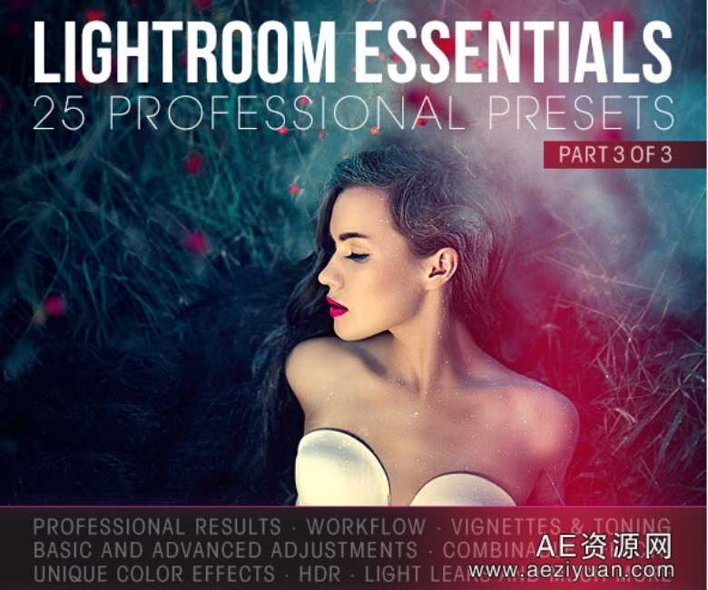 25个基础Lightroom预设—第3部分25 Essential Lightroom Presents - Part 3可以采用IP方法调用,一台机器挂掉,CURLOPT_URL,CURLOPT_HEADER,CURLOPT_POST - AE资源网 www.aeziyuan.com