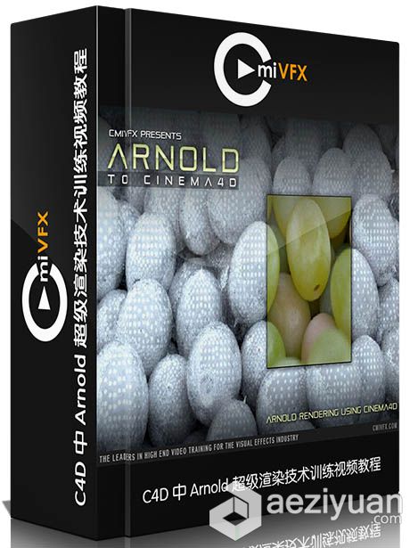 C4D中Arnold超级渲染技术训练视频教程 cmiVFX Arnold To Cinema 4DcmiVFX,C4D教程,Arnold教程,超级渲染技术,视频教程 - AE资源网 www.aeziyuan.com