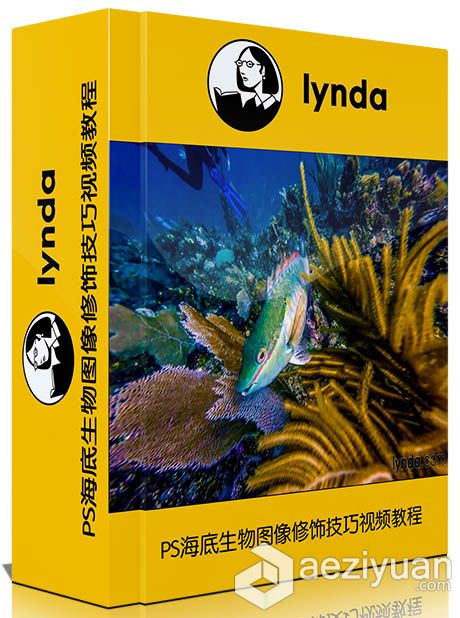 PS海底生物图像修饰技巧视频教程Enhancing Underwater Photos with Photoshop图像,修饰,技巧,photos,with - AE资源网 www.aeziyuan.com