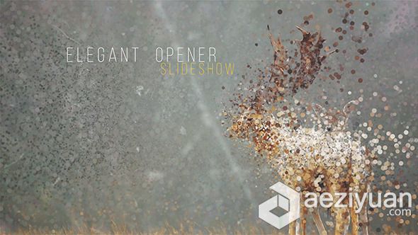 唯美聚点相册动画AE模板 Videohive Elegant Opener SlideshowVideohive,唯美聚点,相册动画,AE模板,AE素材 - AE资源网 www.aeziyuan.com