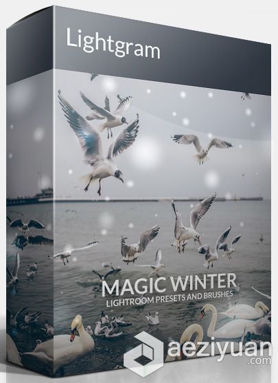 Lightgram出品 Magic Winter雪景预设包（含笔刷）出品,magic,winter,雪景,预设 - AE资源网 www.aeziyuan.com