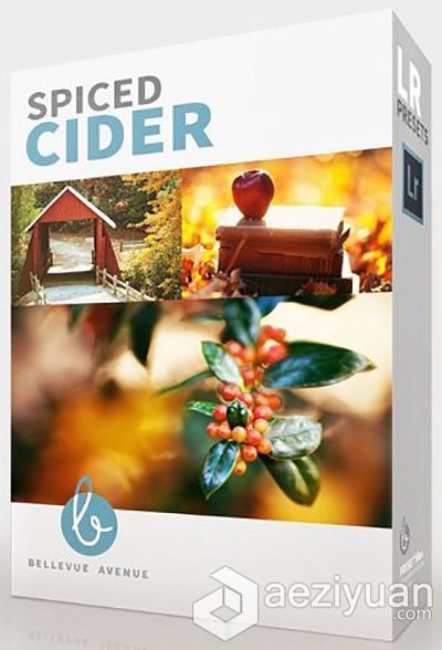 Bellevue Avenue Lightroom预设-温暖美味SPICED CIDER&#8482; LR PRESETS可以采用IP方法调用,一台机器挂掉,CURLOPT_URL,CURLOPT_HEADER,CURLOPT_POST - AE资源网 www.aeziyuan.com