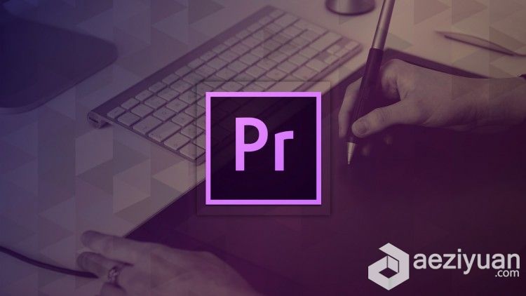 The Ultimate Guide to Adobe Premiere Proultimate,premiere - AE资源网 www.aeziyuan.com