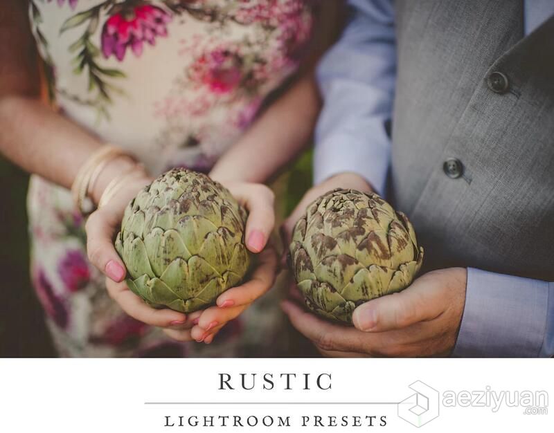 质朴磨砂Lightroom预设 Twig &amp; Olive Photography – Rustics Lightroom质朴,磨砂,lightroom,预设 - AE资源网 www.aeziyuan.com