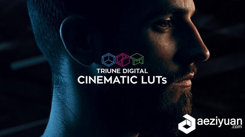 300组LUTs电影大片风格调色预设 Triune Digital: Cinematic LUTs预设 - AE资源网 www.aeziyuan.com