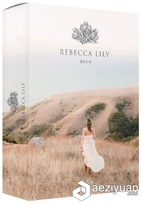 婚纱婚礼胶片Lightroom预设 Rebecca Lily Pro Set 1-4 中文版婚纱婚礼,胶片,lightroom,预设,rebecca - AE资源网 www.aeziyuan.com