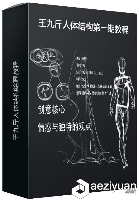 王九斤人体结构网络班第一期中文视频教程人体结构,网络,中文,视频教程 - AE资源网 www.aeziyuan.com