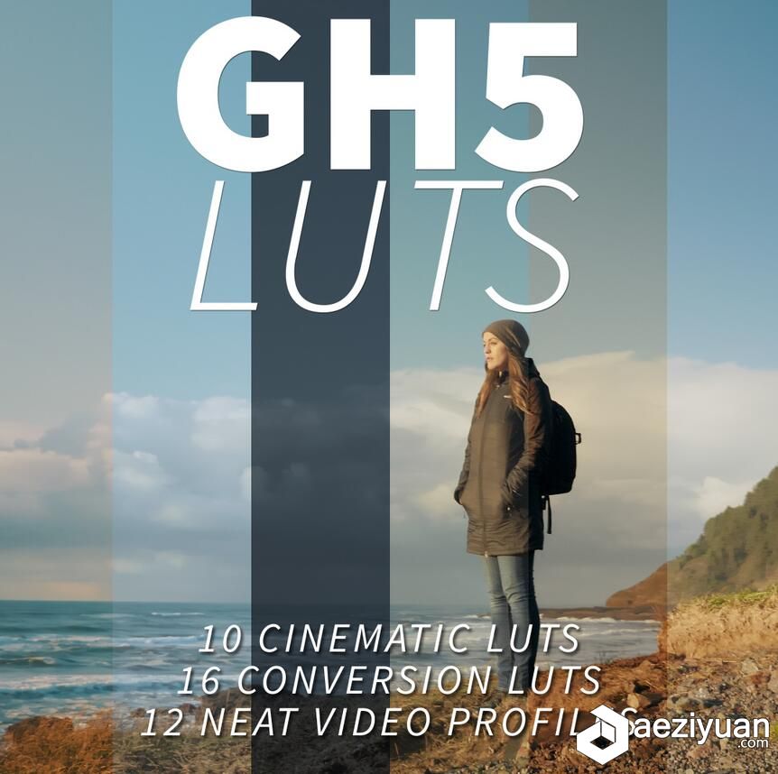 PS/AE/FCPX/达芬奇LUTs影视级调色预设Neumann Films Gh5 Luts达芬奇,影视,调色,预设,neumann - AE资源网 www.aeziyuan.com