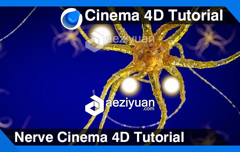 C4D神经系统建模材质渲染视频教程 Nerve Cinema 4D Tutorial神经系统,系统建模,建模,材质,渲染 - AE资源网 www.aeziyuan.com