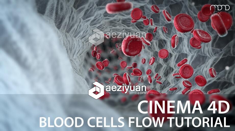 C4D血细胞流动特效动画视频教程 Blood cells flow Cinema 4D Tutorial血细胞,流动,特效动画,blood,cinema - AE资源网 www.aeziyuan.com