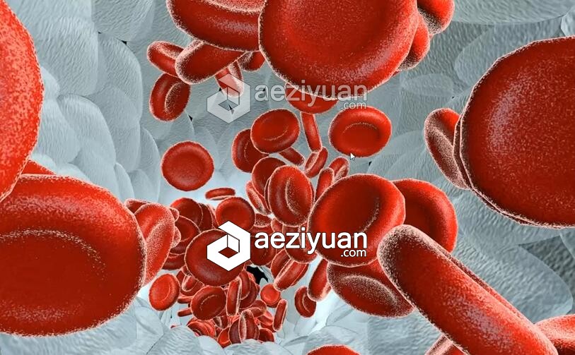 C4D模型 血细胞流动 Blood cells flow模型,血细胞,流动,blood,cells - AE资源网 www.aeziyuan.com