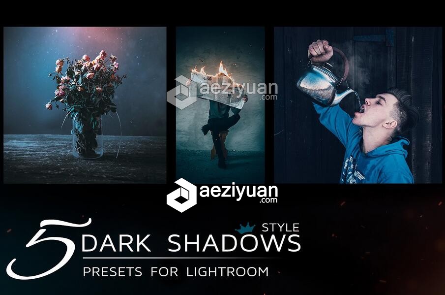 5组黑暗忧郁风格LR预设 5 Lightroom Presets in dark tones黑暗,忧郁,风格,预设,lightroom - AE资源网 www.aeziyuan.com