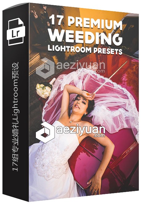 17组专业婚礼Lightroom预置 Premium Wedding Lightroom Presets专业,婚礼,lightroom,预置,premium - AE资源网 www.aeziyuan.com