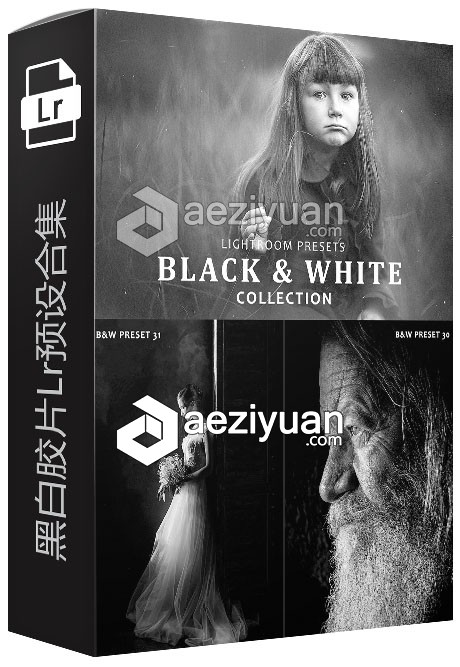 黑白胶片Lightroom预设合集 B &amp; W Collection Lightroom Presets黑白胶片,胶片,lightroom,预设,合集 - AE资源网 www.aeziyuan.com