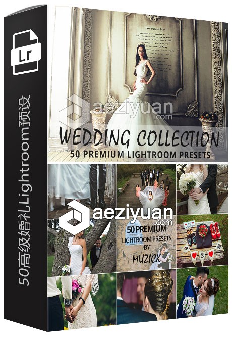 50高级婚礼Lightroom预设 50 Premium Wedding Lightroom Presets可以采用IP方法调用,一台机器挂掉,CURLOPT_URL,CURLOPT_HEADER,CURLOPT_POST - AE资源网 www.aeziyuan.com