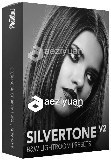 经典黑白人像Lightroom预设 Silvertone Volume 2经典黑白,人像,lightroom,预设 - AE资源网 www.aeziyuan.com