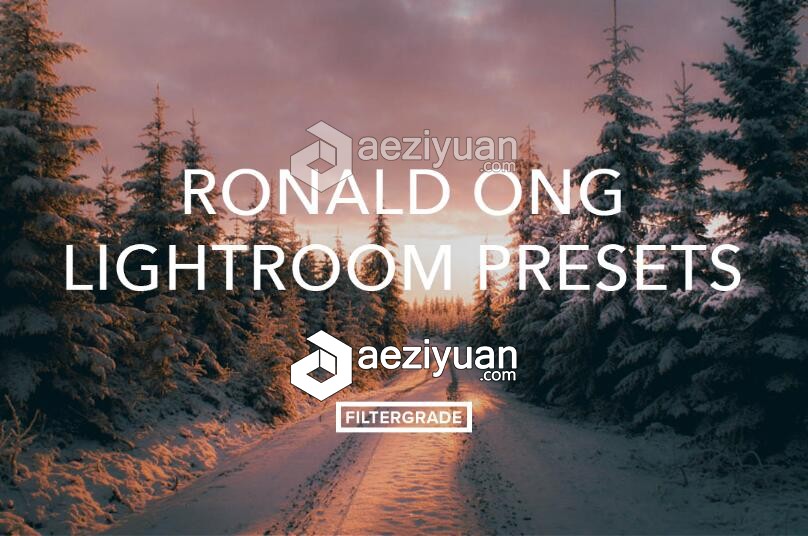 马来西亚摄影师Ronald Ong柔和温暖色调Lr预设 Ronald Ong Lightroom Presets马来西亚,西亚,摄影师,ronald,柔和 - AE资源网 www.aeziyuan.com