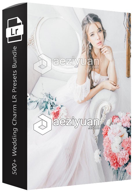 500+魅力婚纱婚礼大片Lightroom预设合集 500+ Wedding Charm LR Presets Bundle魅力,婚纱婚礼,大片,lightroom,预设 - AE资源网 www.aeziyuan.com