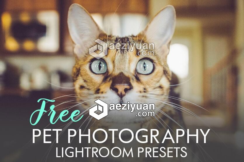 萌宠动物摄影后期Lightroom预设 18 Pet Photography Lightroom Presets摄影后期,后期,lightroom,预设,photography - AE资源网 www.aeziyuan.com