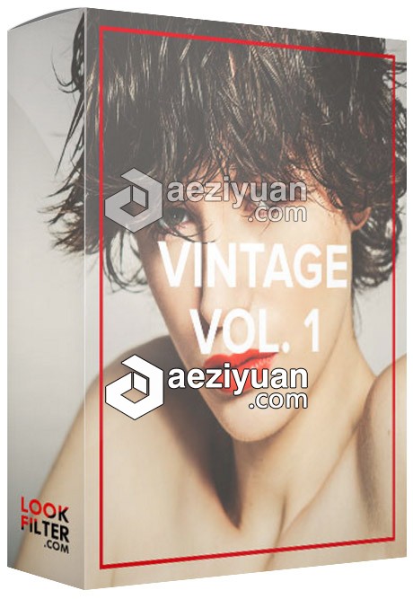 大师级人像婚礼复古调色 Lookfilter Vintage Vol.1 LR Presets大师,人像,婚礼,复古,vintage - AE资源网 www.aeziyuan.com