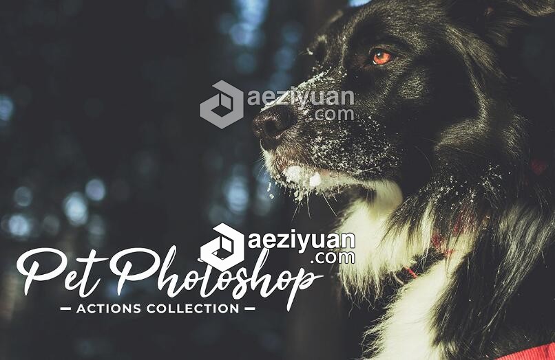 宠物摄影后期调色PS动作 Pet Photoshop Actions Collection摄影后期,后期调色,动作,photoshop,actions - AE资源网 www.aeziyuan.com