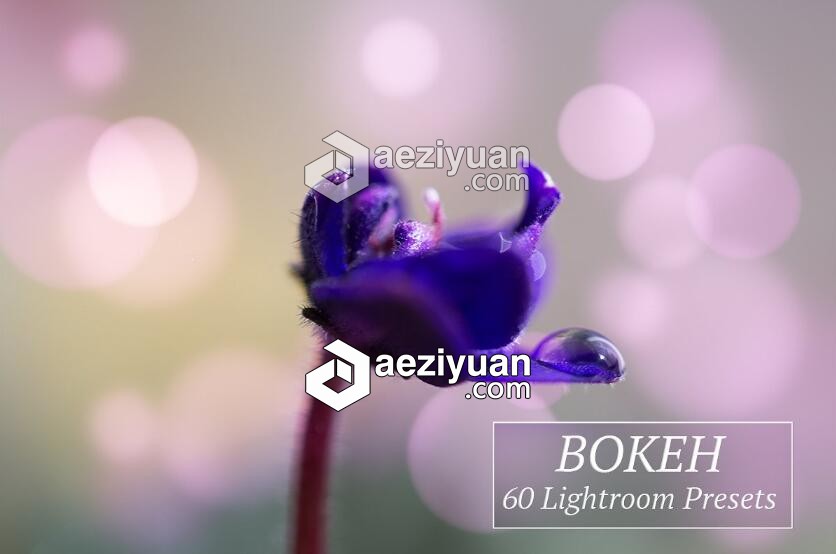 散景光斑Lightroom预设 60 Bokeh Lr Presetslightroom,预设 - AE资源网 www.aeziyuan.com