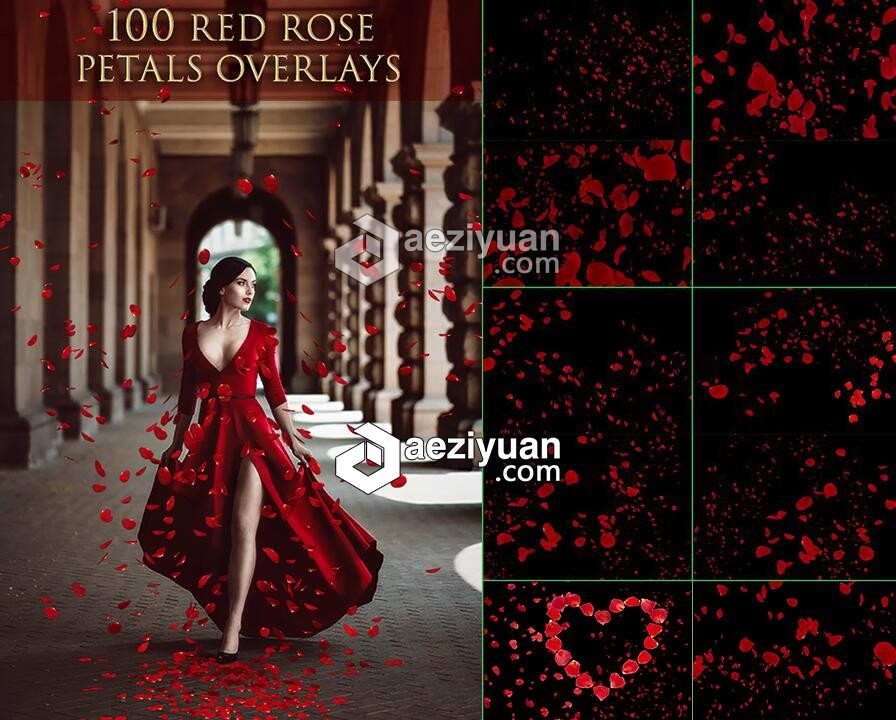 100张高清玫瑰花瓣叠加合成前景素材 100 Red Rose Petals Overlays玫瑰花瓣,叠加,合成,前景,素材 - AE资源网 www.aeziyuan.com