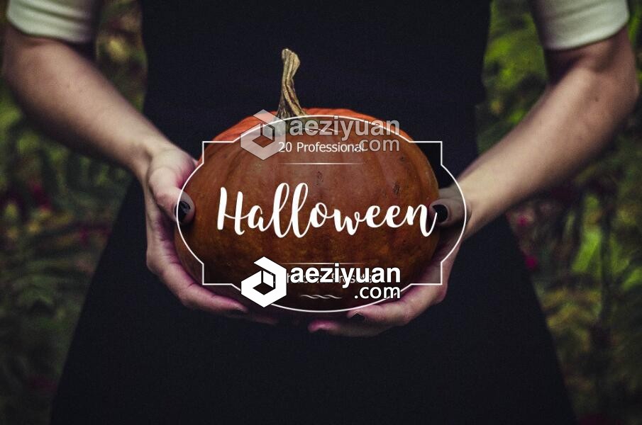 万圣节Lightroom预设 Halloween Lr Presetslightroom,预设,halloween - AE资源网 www.aeziyuan.com