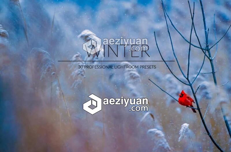 冬季风景Lightroom预设 Winter Lr Presets冬季风景,风景,lightroom,预设,winter - AE资源网 www.aeziyuan.com