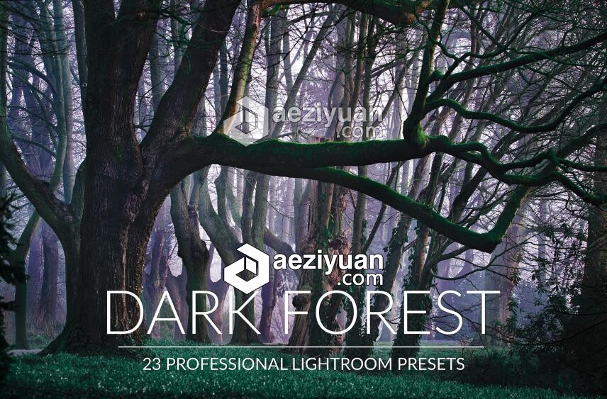 黑暗森林冷色调风景Lightroom预设 Dark Forest Lr Presets黑暗森林,风景,lightroom,预设,dark - AE资源网 www.aeziyuan.com