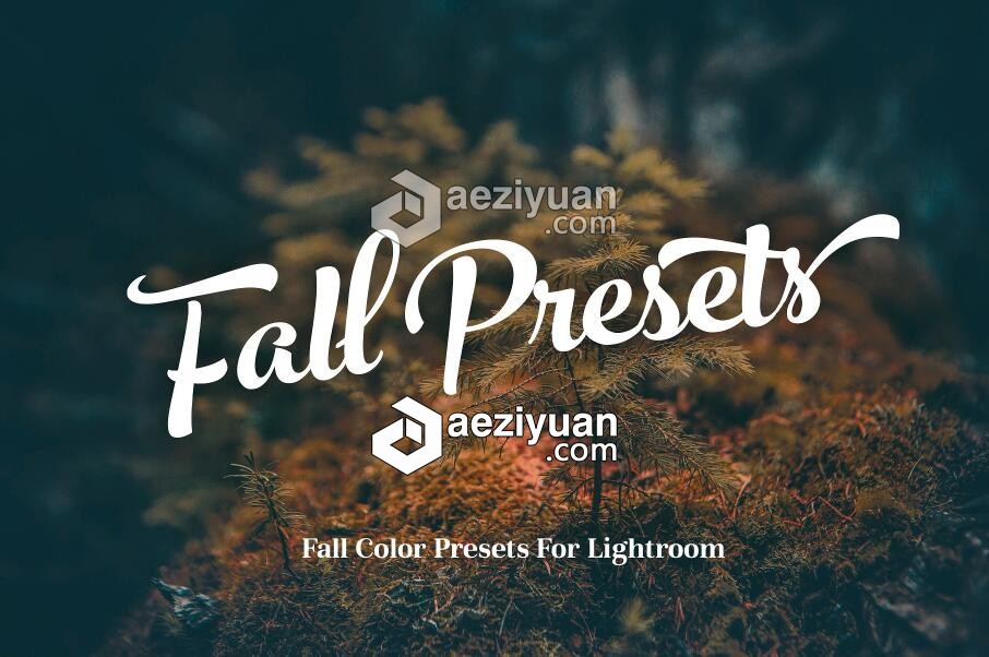 秋季旅行摄影Lightroom预设 Fall Presets 2018 Lightroom Preset秋季,旅行摄影,摄影,lightroom,预设 - AE资源网 www.aeziyuan.com