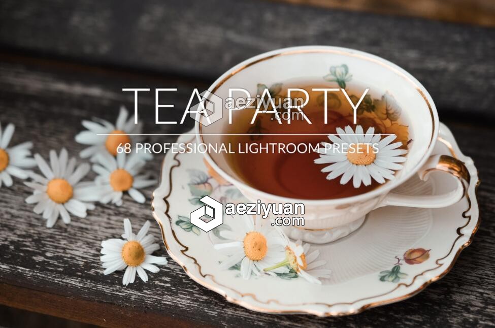 茶艺慢生活摄影Lightroom预设 Tea Party Lr Presets茶艺,慢生活,lightroom,预设,party - AE资源网 www.aeziyuan.com